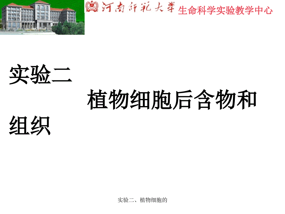 实验二、植物细胞的课件_第1页