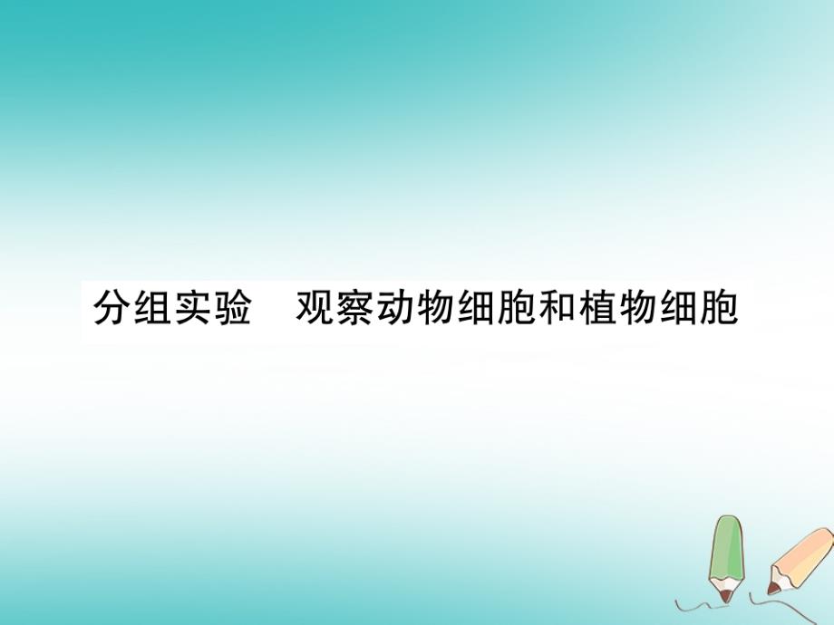 2020年秋七年级科学上册-第2章-观察生物-分组实验-观课件_第1页