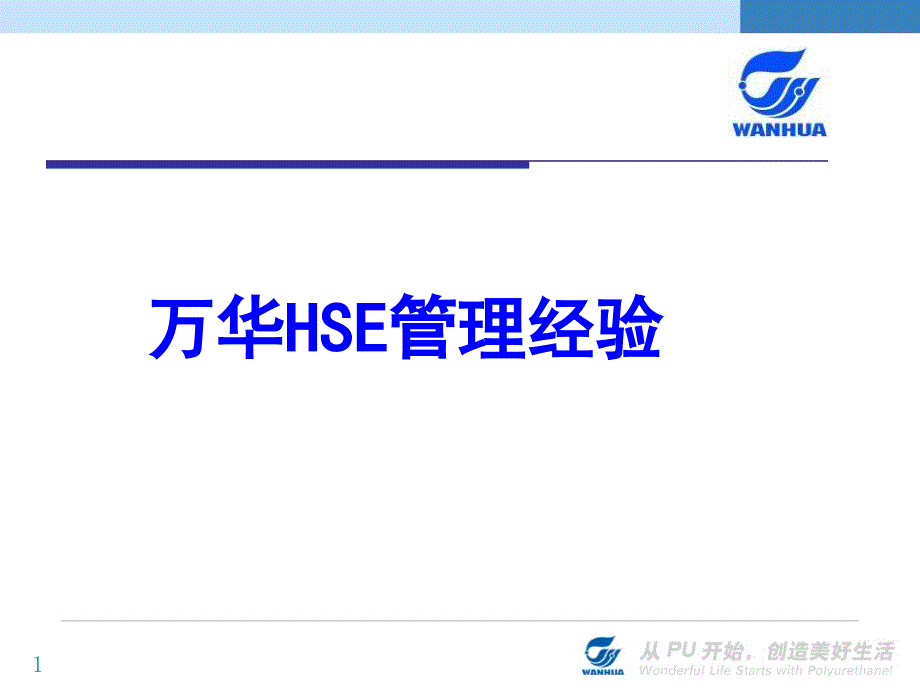 HSE管理经验课件_第1页