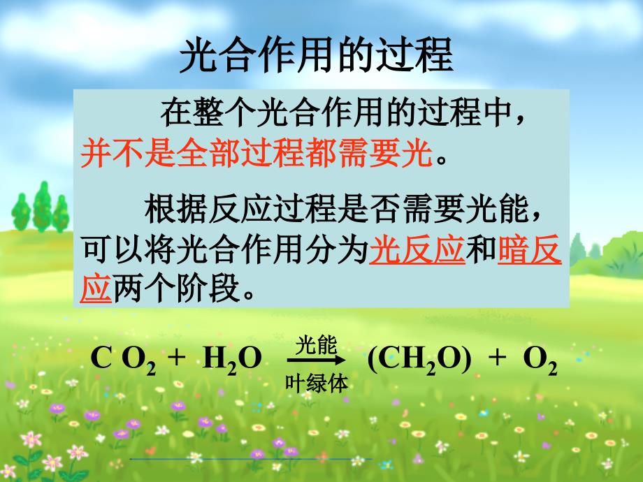 第二节光合作用过程和影响因素课件_第1页