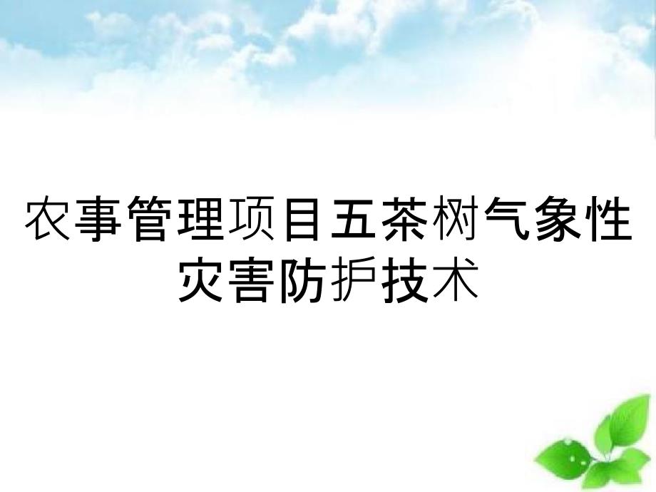 农事管理项目五茶树气象性灾害防护技术_第1页