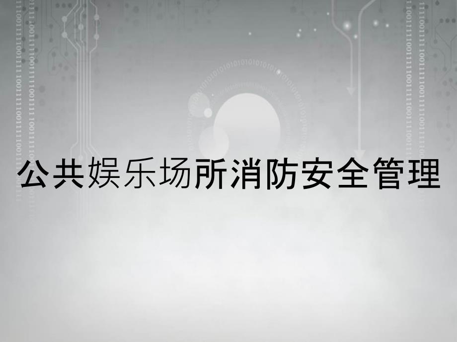 公共娱乐场所消防安全管理_第1页