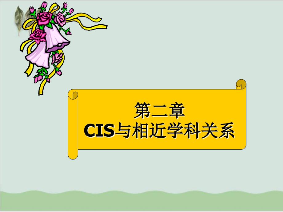 CIS与相近学科关系课件_第1页