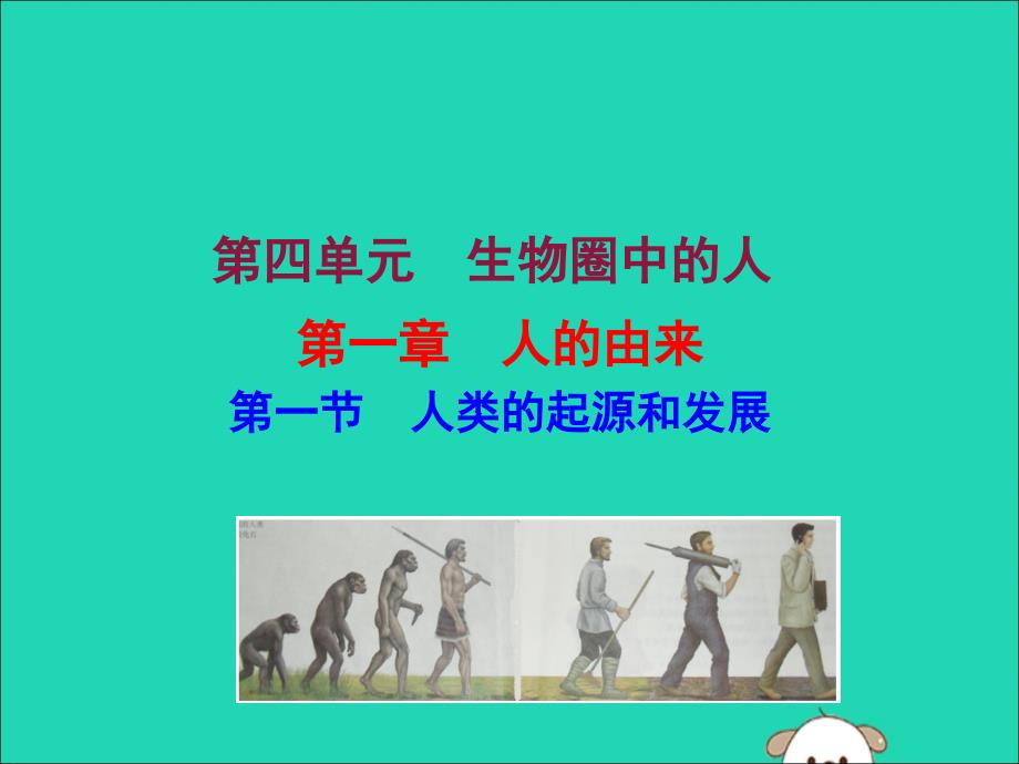 七年级生物下册第四单元生物圈中的人第一章人的由来1人类的起源和发展教学ppt课件新人教版_第1页