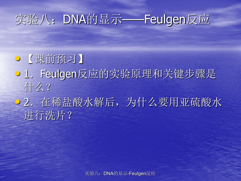 实验八：DNA的显示-Feulgen反应课件_第1页