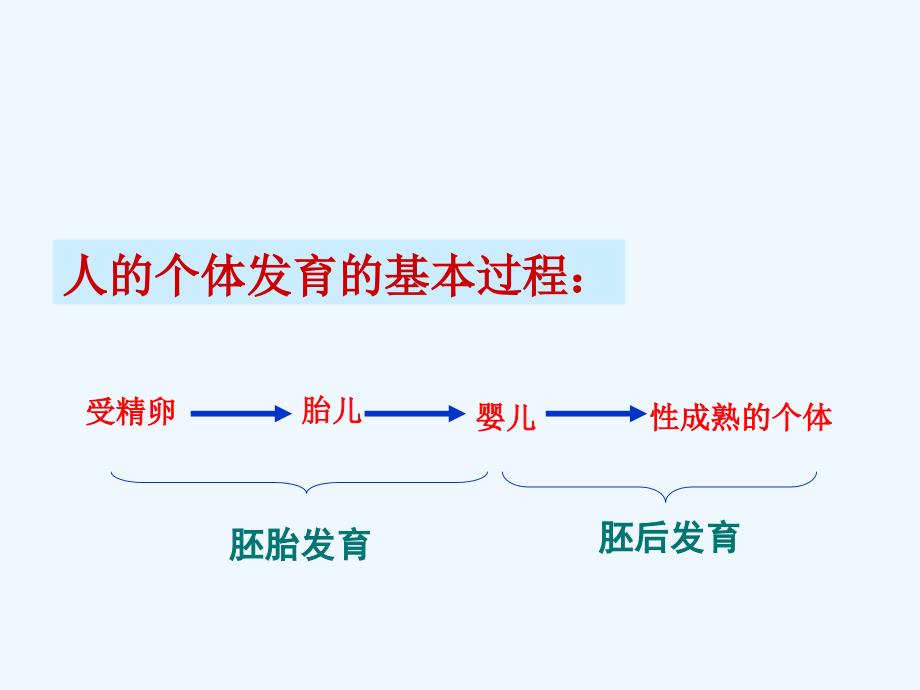 体内受精和早期胚胎发育课件_第1页