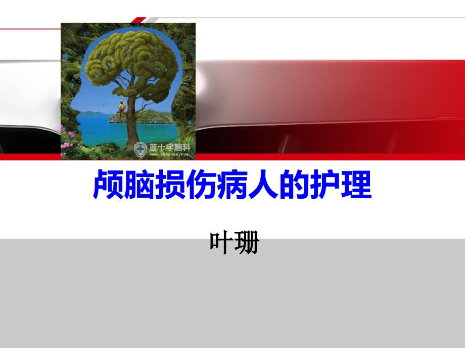 颅脑损伤病人的护理参考ppt课件_第1页