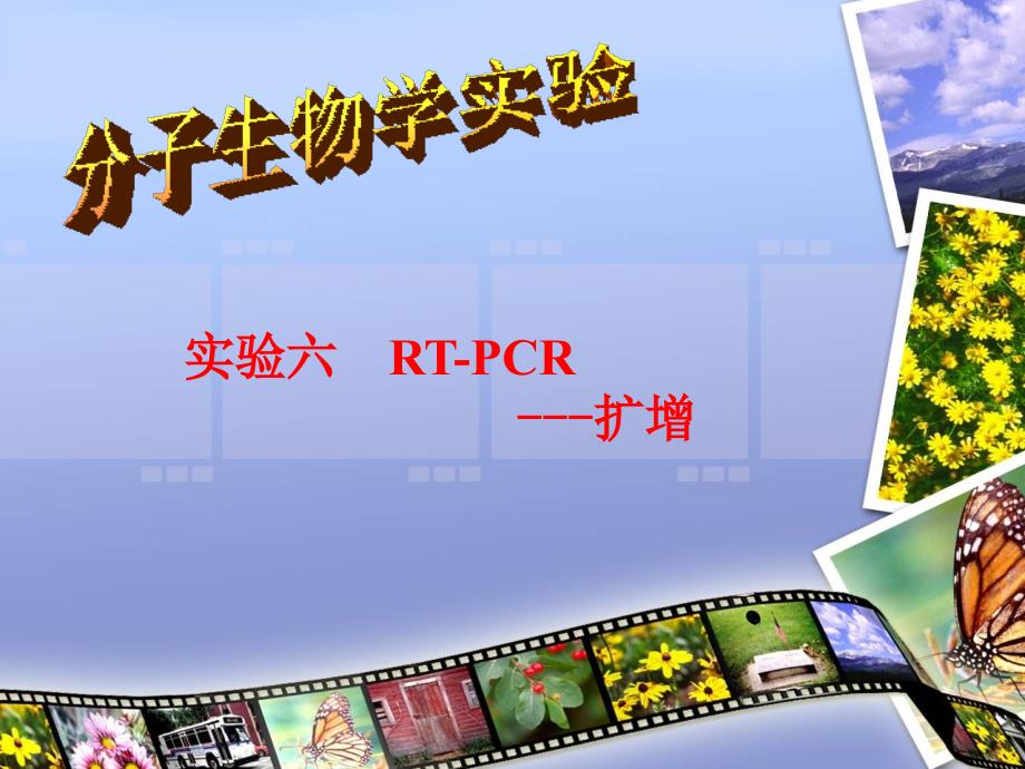 6.实验六_RT-PCR(扩增)2_第1页