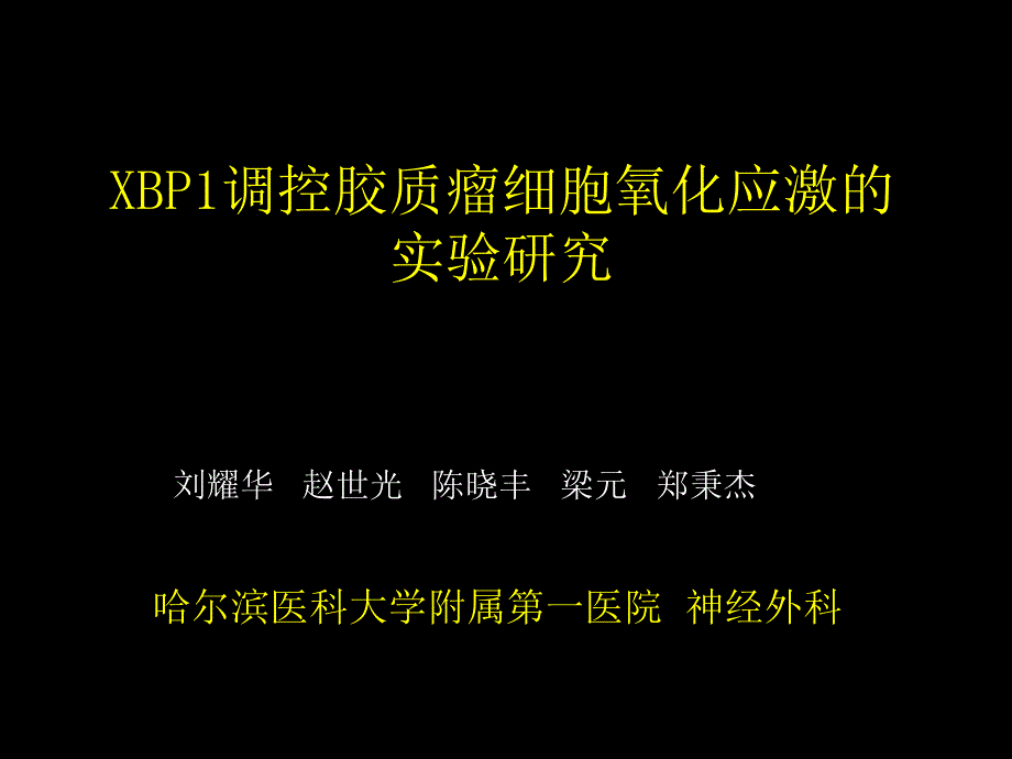 XBP1调控胶质瘤细胞氧化应激的课件_第1页