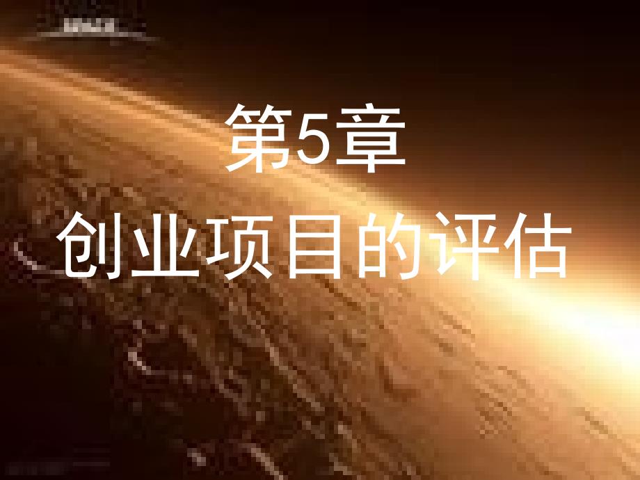 创业项目的评估课件_第1页