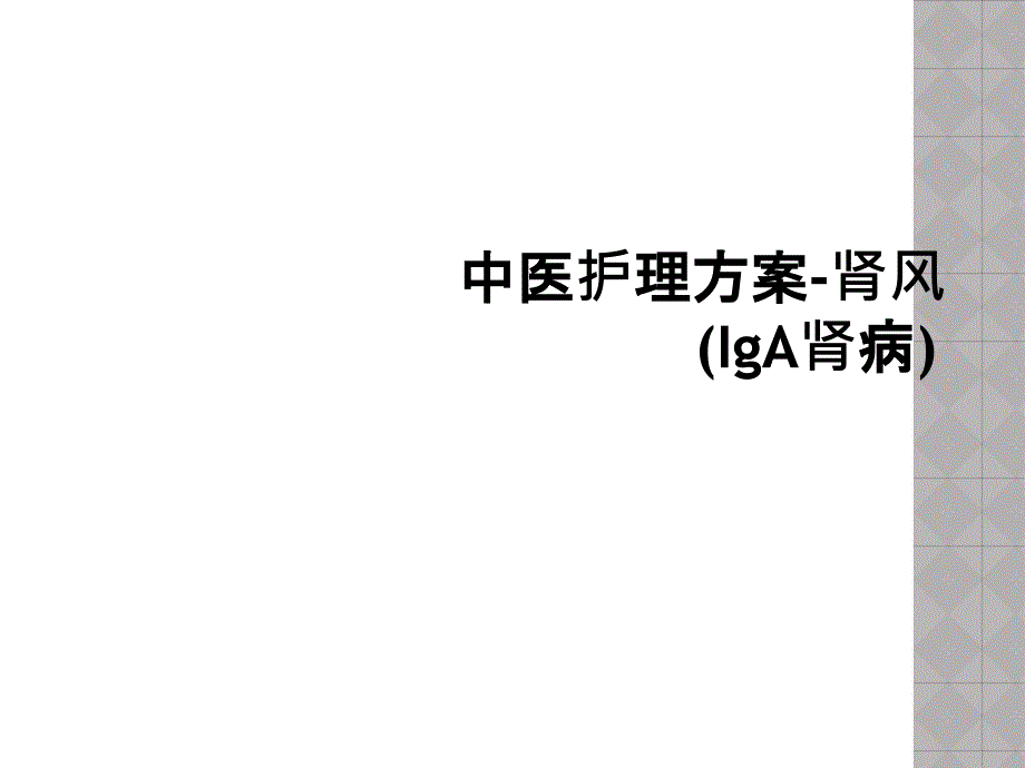 中医护理方案-肾风(IgA肾病)课件_第1页