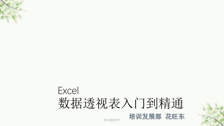 Excel数据透视表入门到精通ppt课件_第1页