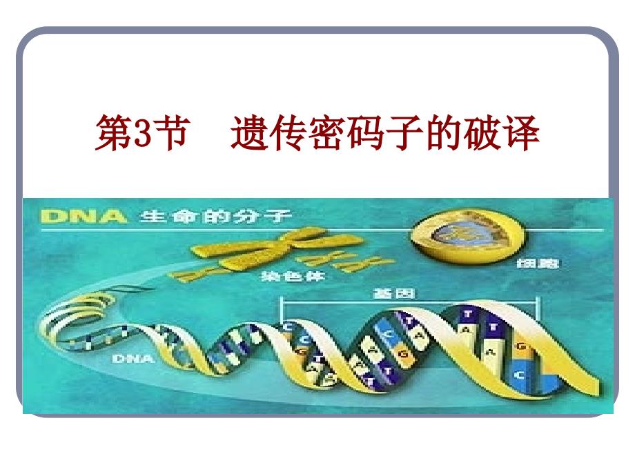 (生物)遗传密码的破译_第1页