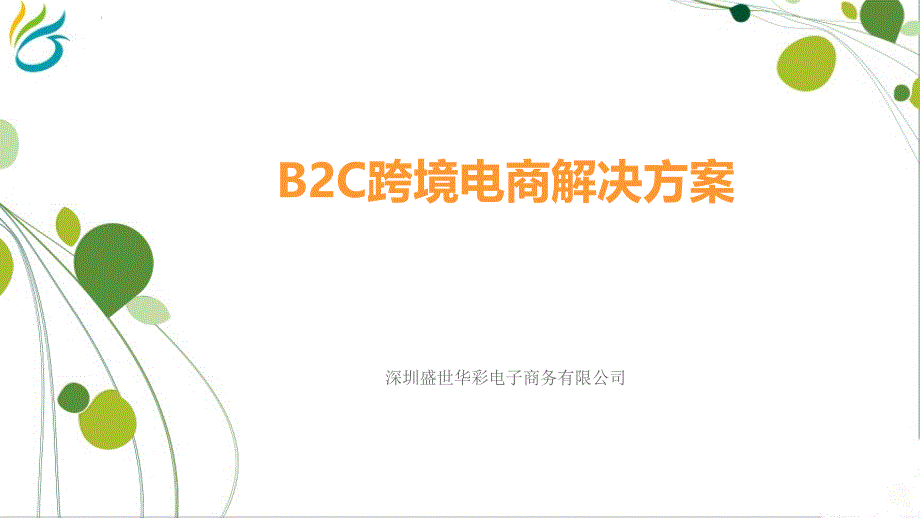 B2C跨境电商解决方案_第1页