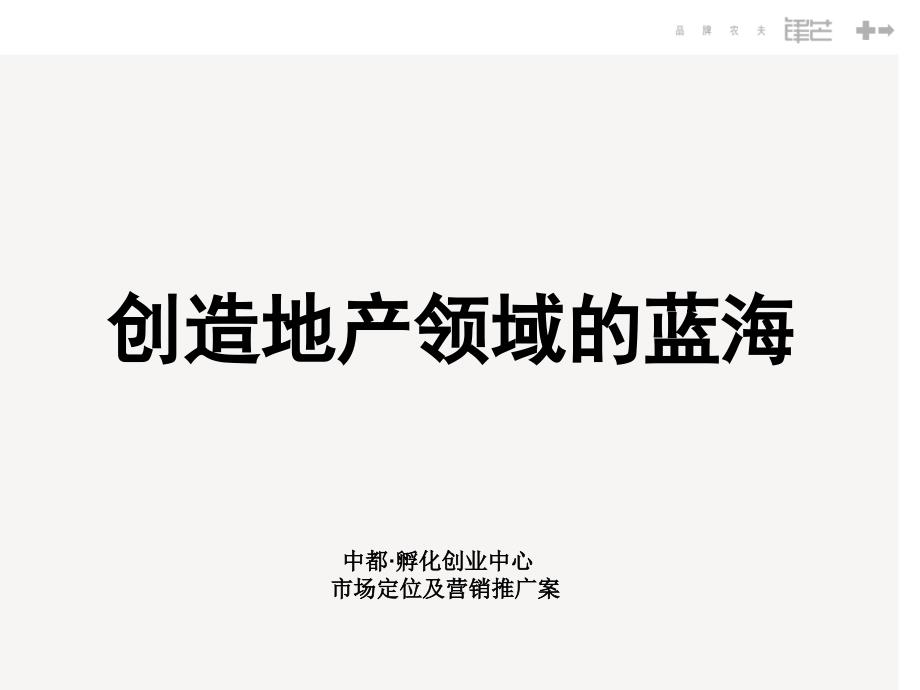 杭州中都孵化创业中心市场定位及营销推广案-100页-2007年_第1页