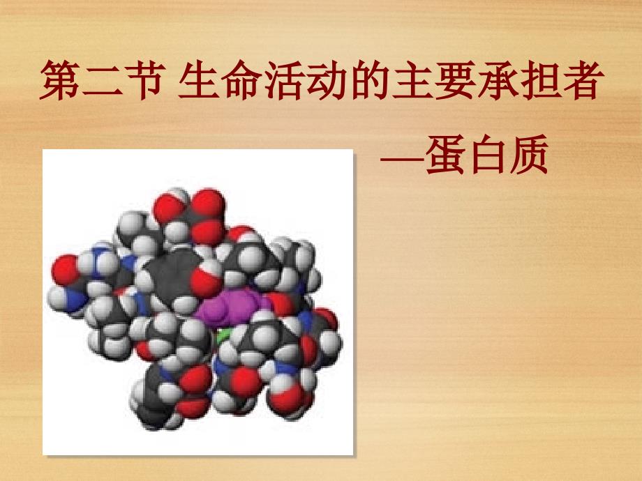 高中生物人教课标版必修1生命活动的主要承担者蛋白质教学设计课件_第1页