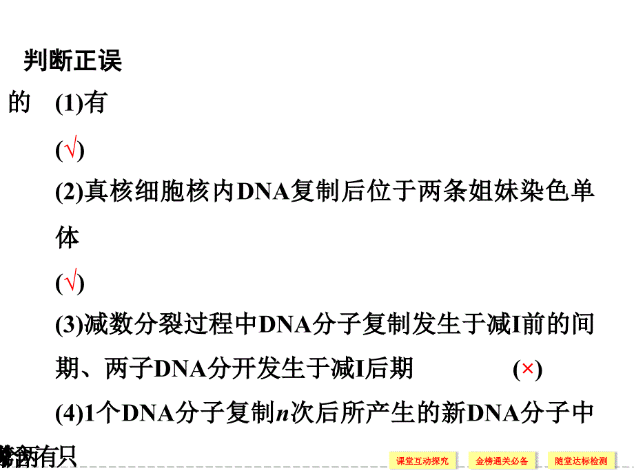 3-3dna复制习题_第1页