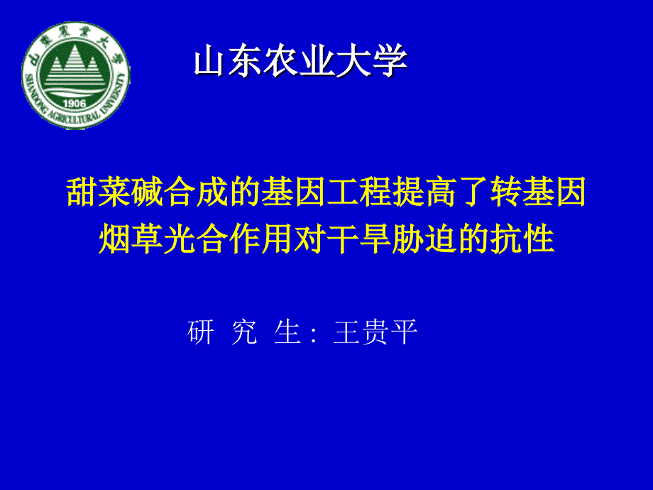 甜菜碱合成的基因工程提高了转基因烟草光合作用对干旱课件_第1页