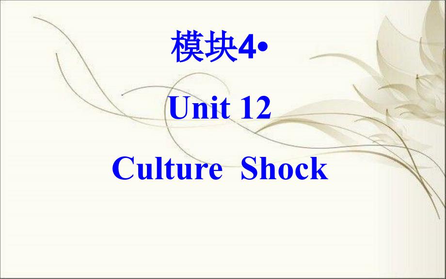 高中英语复习《Unit12culture-shock》基础复习课件_第1页