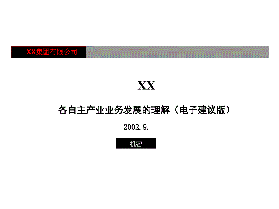 XX集团战略项目_第1页