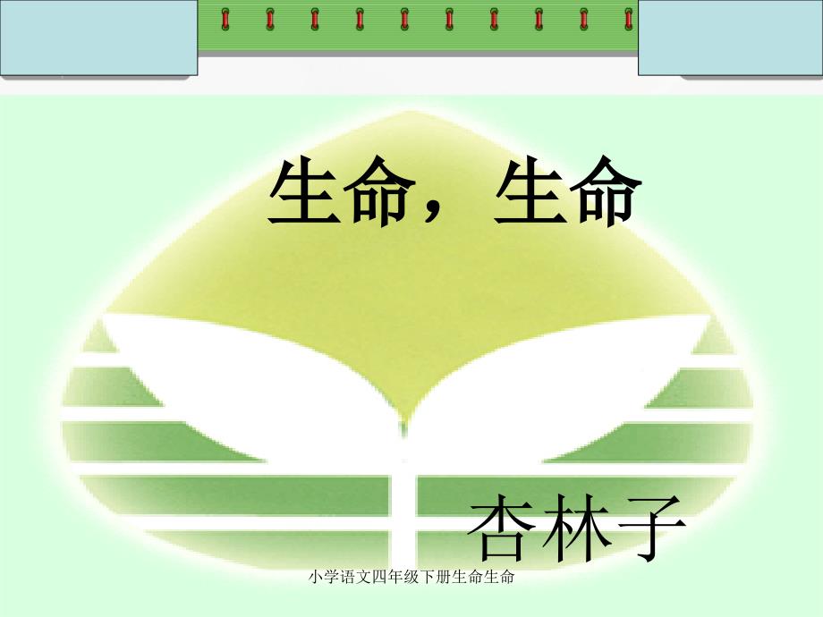 小学语文四年级下册生命生命课件_第1页