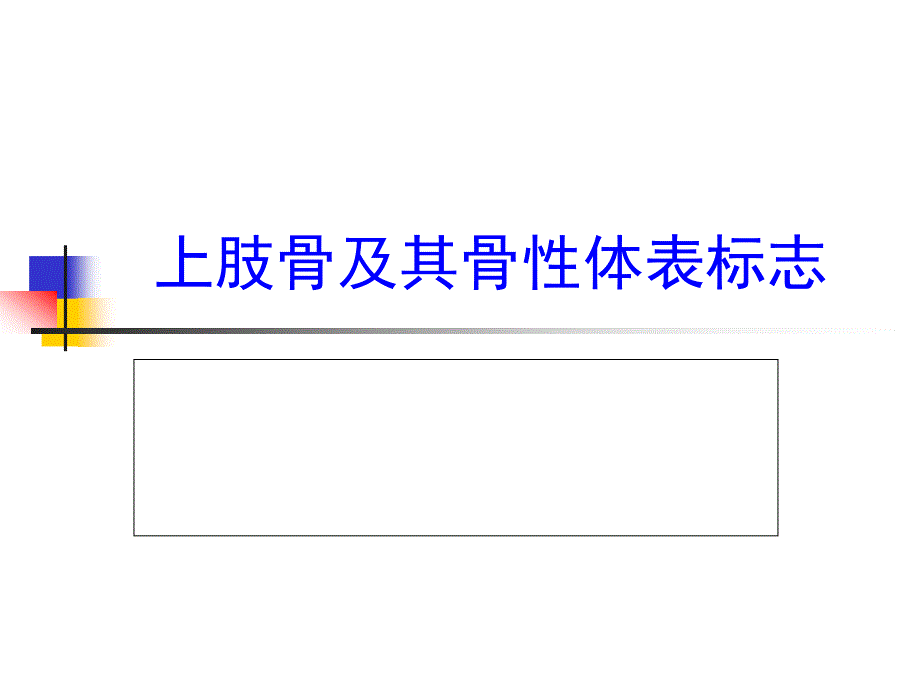 项目3：上肢骨及其骨性体表标志_第1页