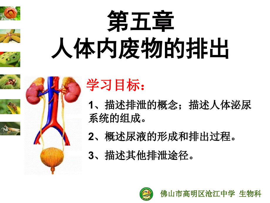 人体内废物的排出课件_第1页