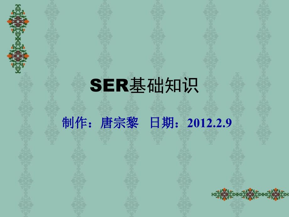 SER基础知识培训教材课件_第1页