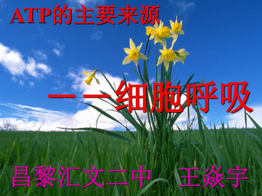 ATP的主要来源-细胞呼吸(送教下乡)_第1页