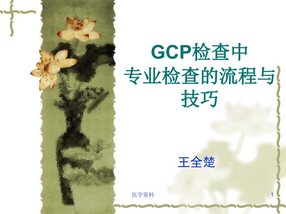 GCP检查中专业检查的流程与技巧课件_第1页