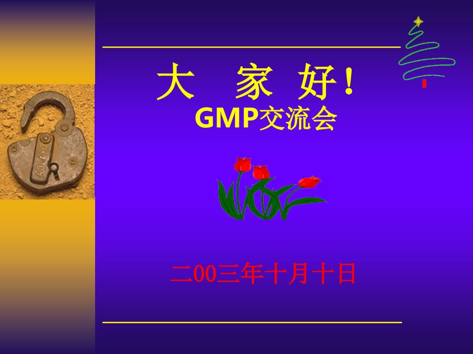 GMP检查细则_第1页