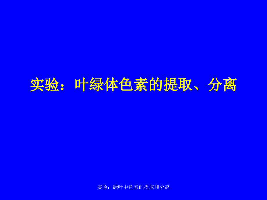 实验：绿叶中色素的提取和分离课件_第1页