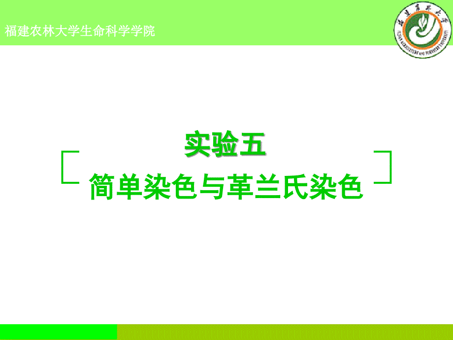 实验五、简单染色与革兰氏染色课件_第1页