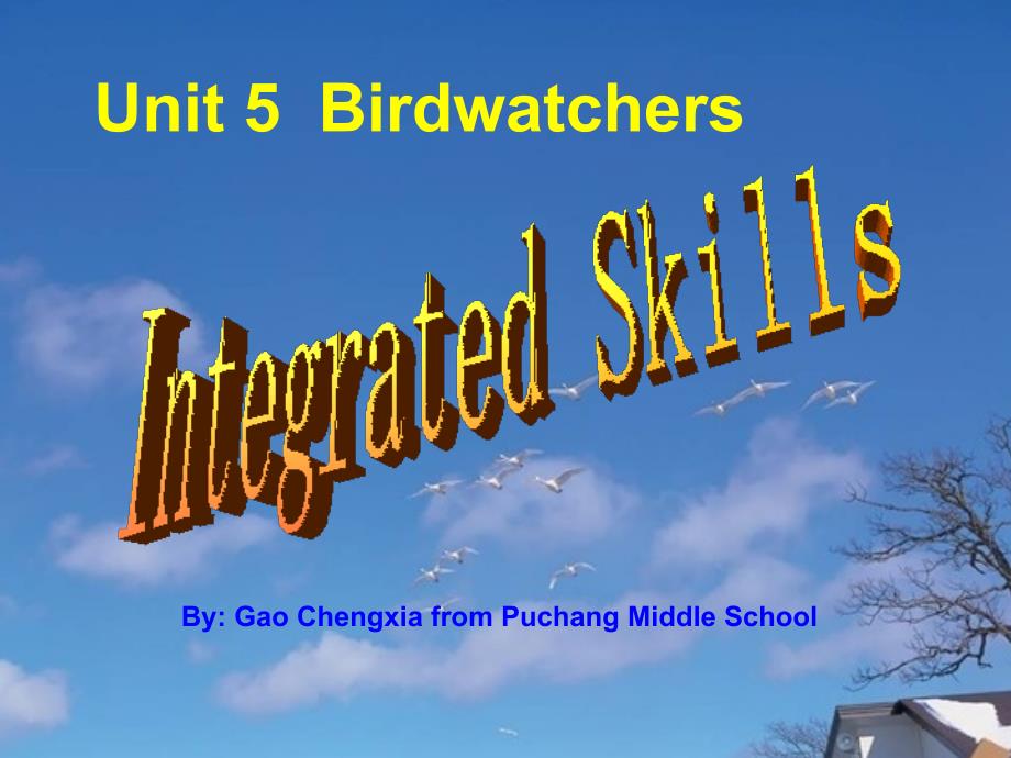 8AUnit5 Integrated skills_第1页