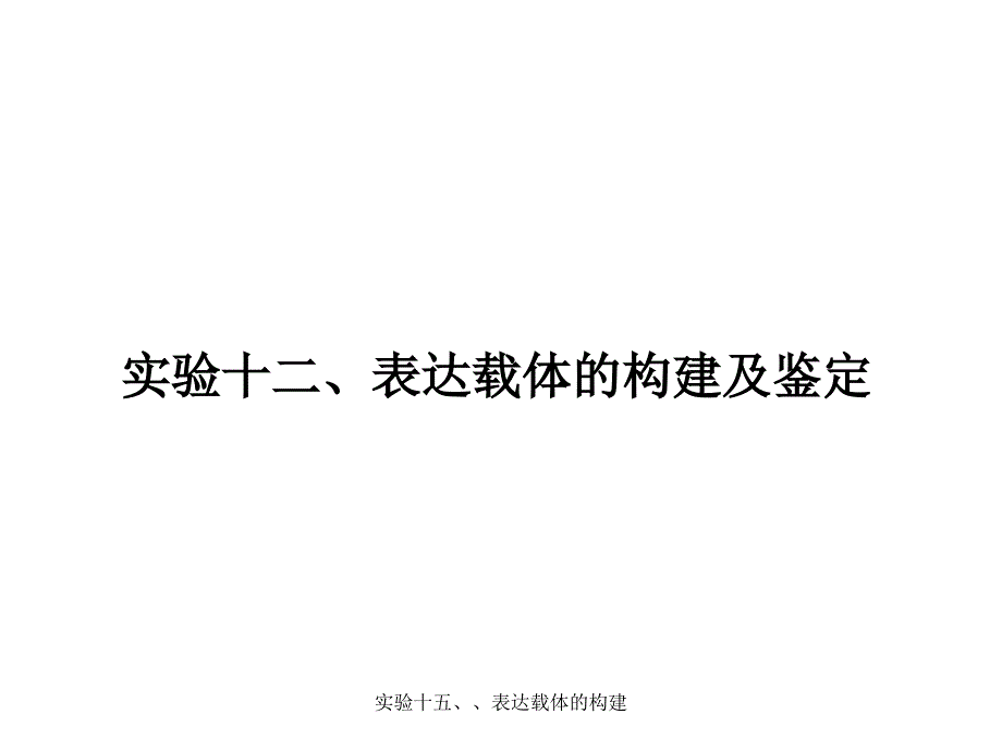 实验十五、、表达载体的构建课件_第1页