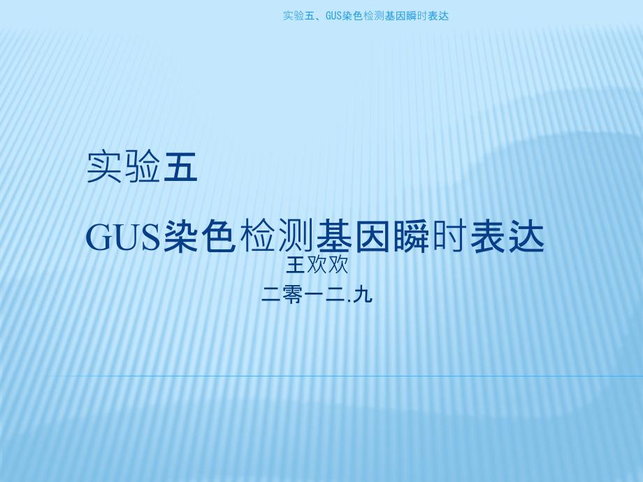 实验五、GUS染色检测基因瞬时表达课件_第1页