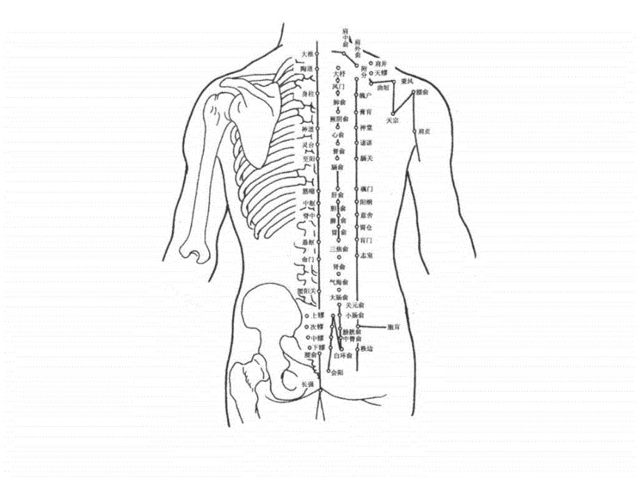 人体经络穴位图解大全课件_第1页