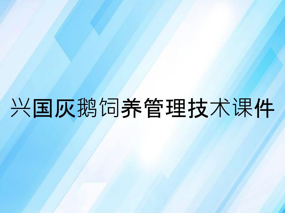 兴国灰鹅饲养管理技术课件_第1页