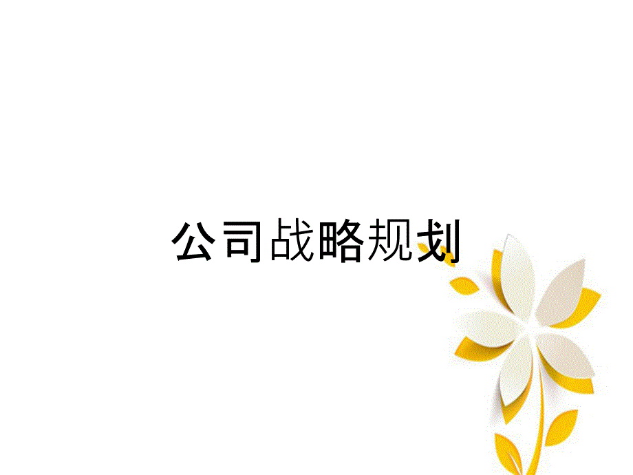 公司战略规划_第1页