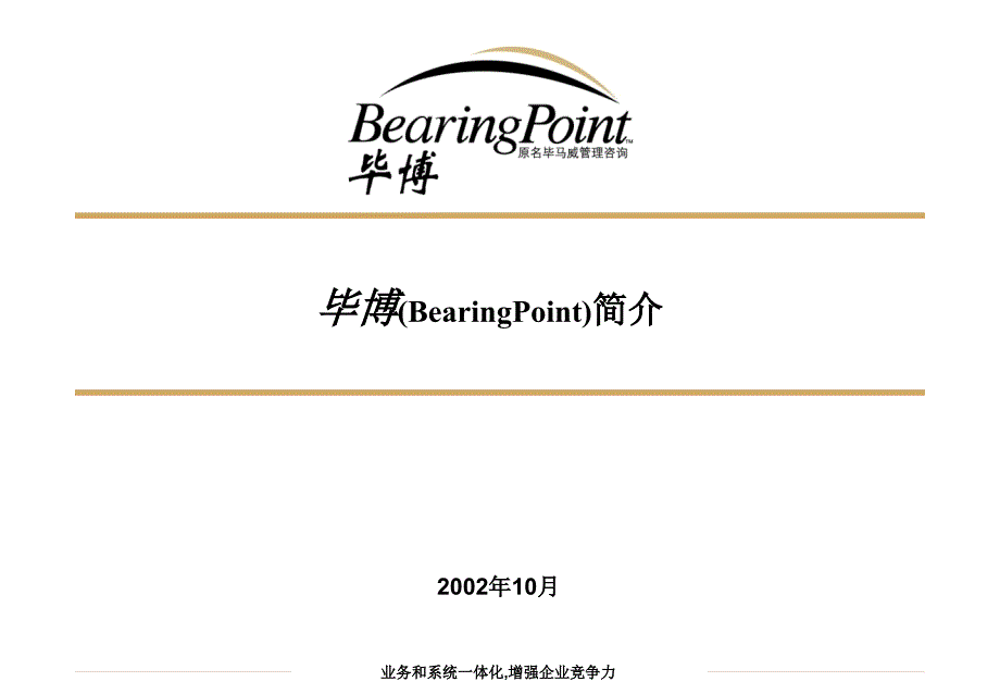 bearingpoint intro for FY03_第1页