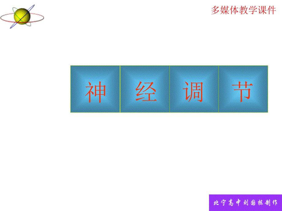 09届高三生物神经调节_第1页