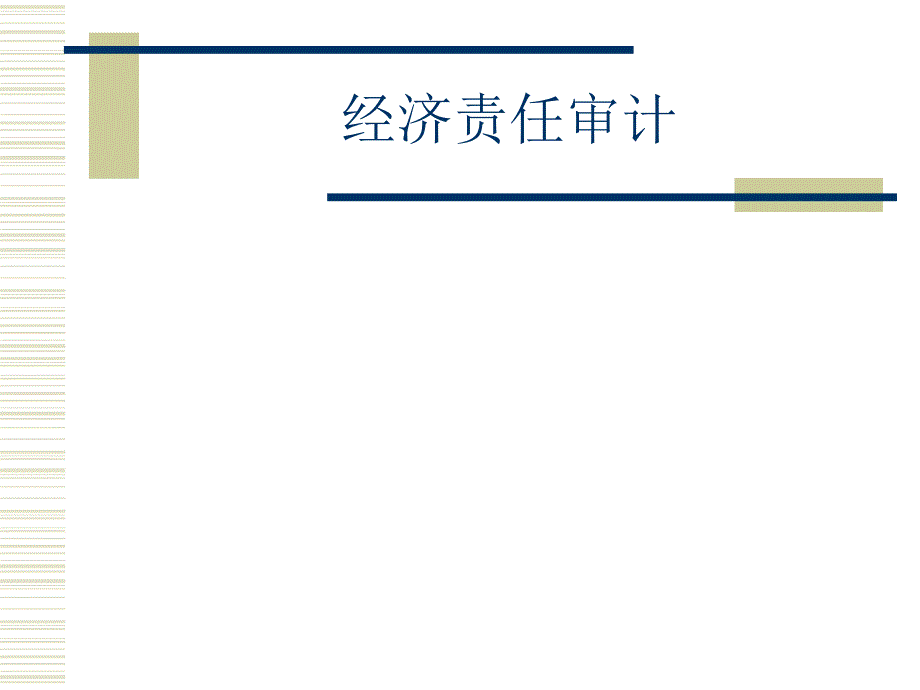 经济责任审计(全)_第1页