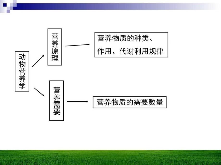 动物营养需要与饲养标准课件_第1页