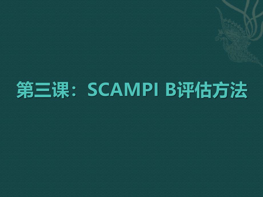 Scampi_B评估方法_第1页