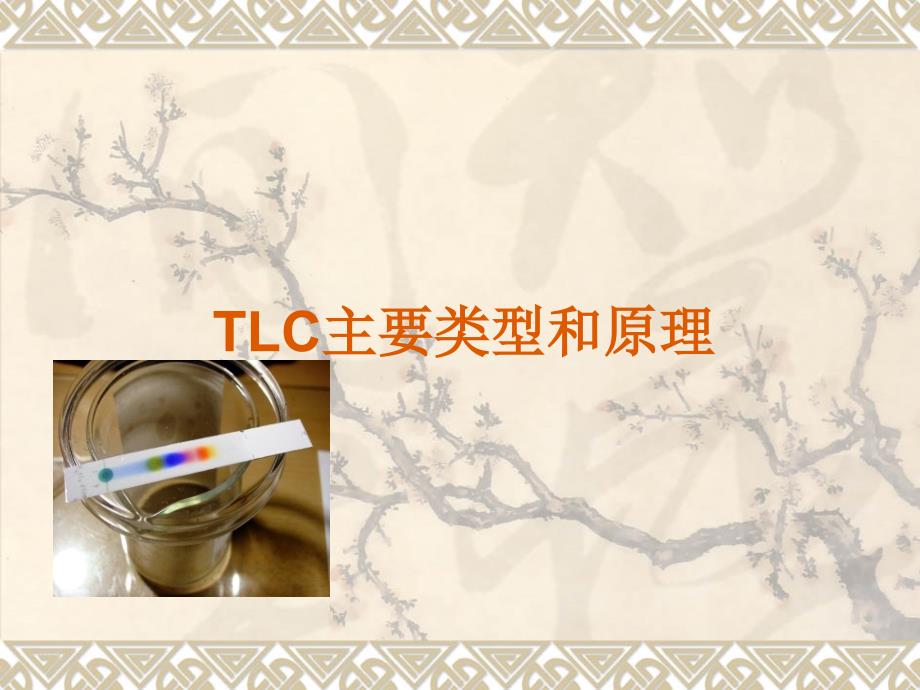 TLC主要类型和原理_第1页