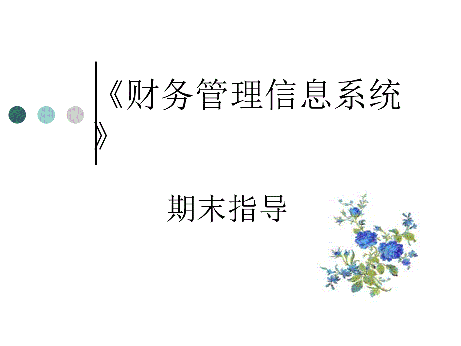 《财务信息系统理论与实务》期末指导_第1页