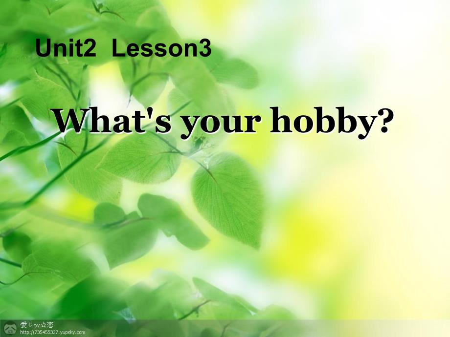 四年级英语上册Unit2Lesson3What’syourhobby-课件_第1页