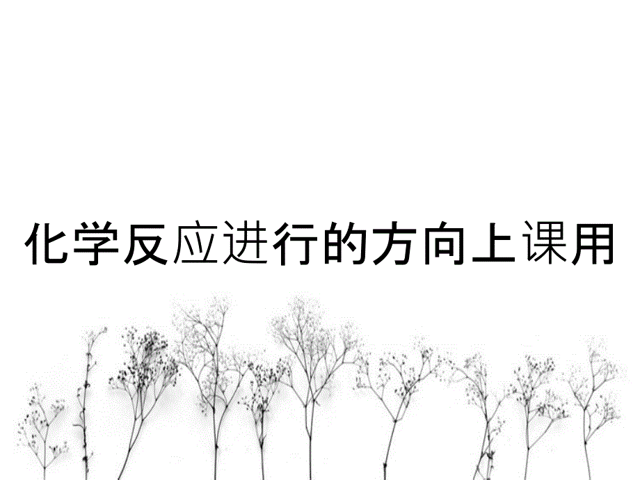 化学反应进行的方向上课用_第1页