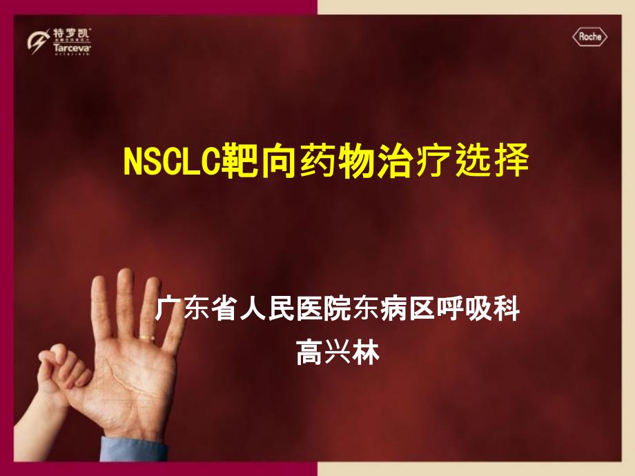 NSCLC靶向药物治疗选择_第1页