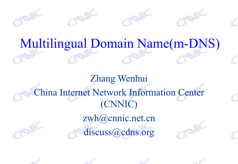 Multilingual Domain Name(m-DNS)_第1页